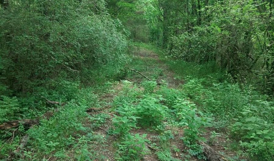468 Adams Rd, Ardmore, TN 38449 - 0 Beds, 0 Bath