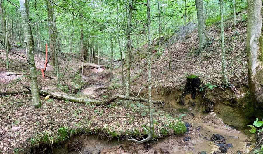 00 Coal Branch Rd, Beattyville, KY 41311 - 0 Beds, 0 Bath