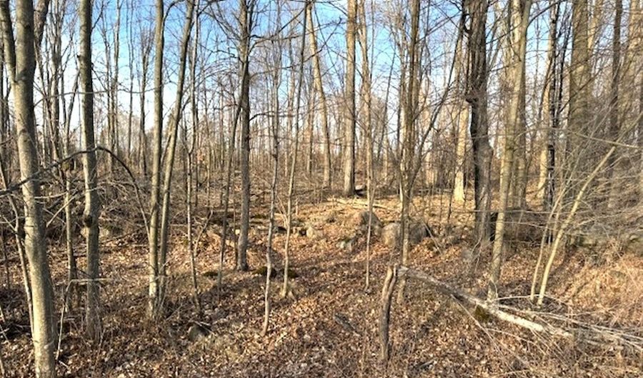 Lot 2 THORN APPLE DR, Wittenberg, WI 54499 - 0 Beds, 0 Bath