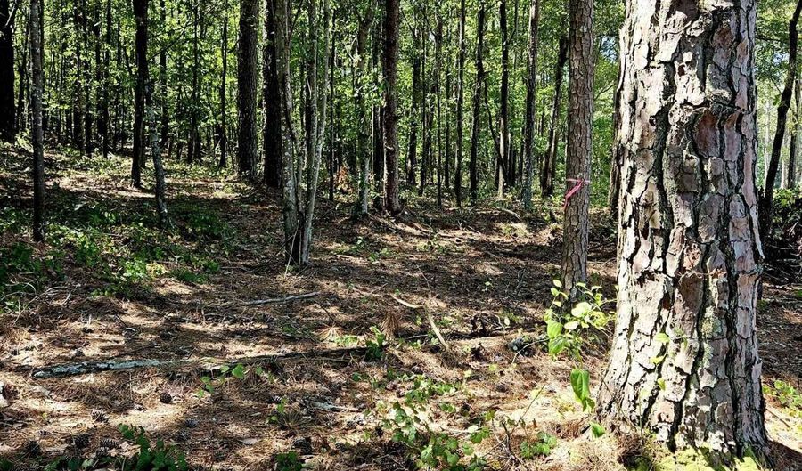 0 Carl Midway Church Rd, Auburn, GA 30011 Other 13 of Photos MLS