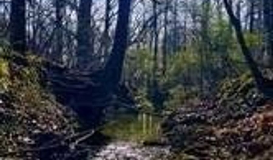 Flint Ridge Road lot 6, Albemarle, NC 28001 - 0 Beds, 0 Bath