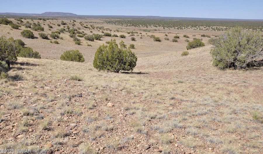 14 CR 5525, Concho, AZ 85924 - 0 Beds, 0 Bath