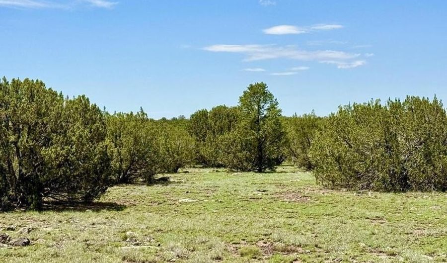 85 CR 8128 Lots 100 101 & 108, Concho, AZ 85924 - 0 Beds, 0 Bath
