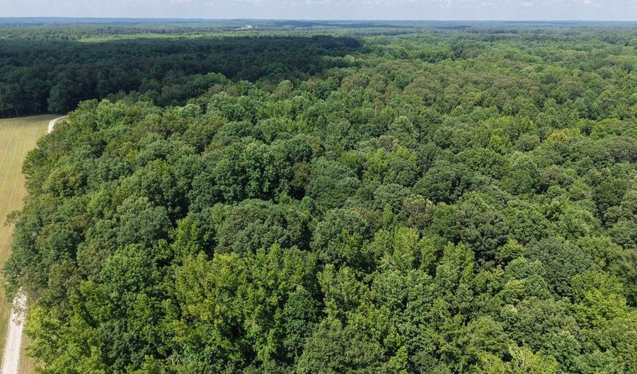 0000 Mifflin Rd, Beech Bluff, TN 38301 - 0 Beds, 0 Bath