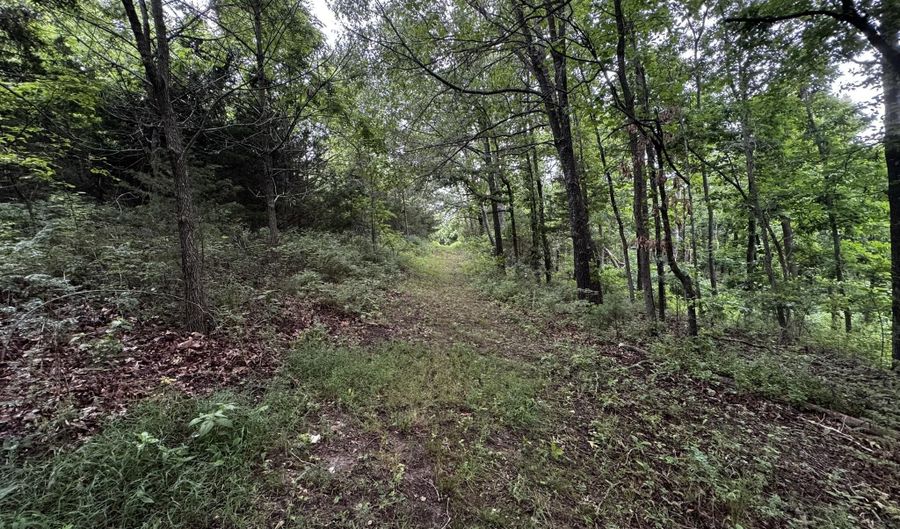 3702 Round House Rd, Aurora, MO 65605 - 3 Beds, 2 Bath