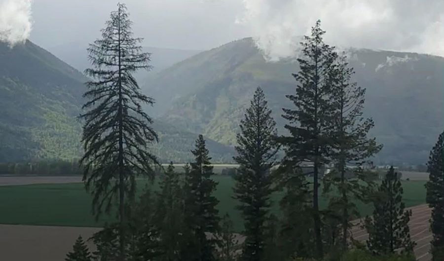 NNA This Way Rd Lot 1, Bonners Ferry, ID 83805 - 0 Beds, 0 Bath