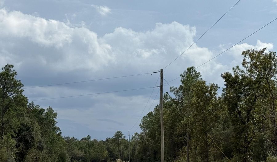 Beaverhead Street, Alford, FL 32420 - 0 Beds, 0 Bath