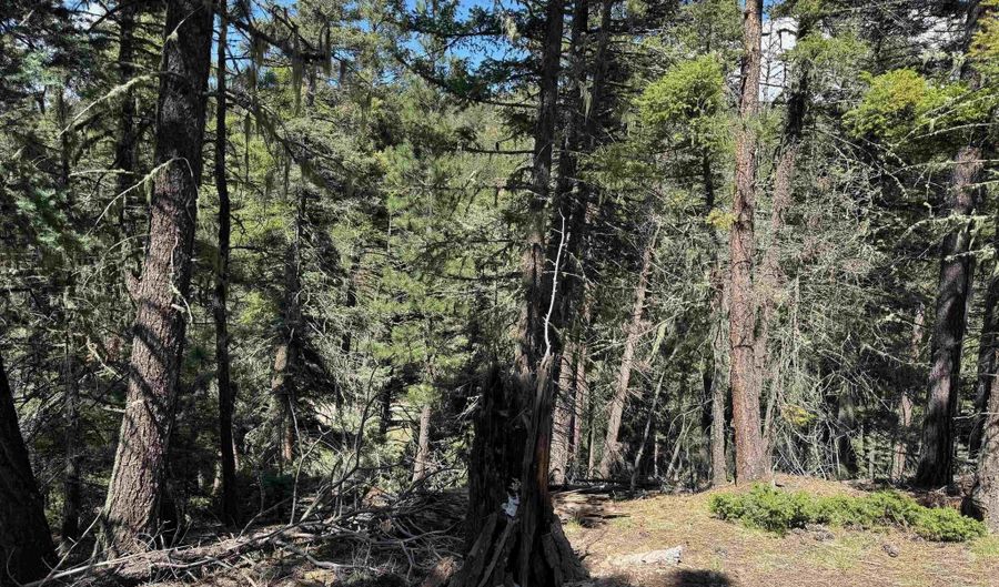 El Vado Way lot 1662, Angel Fire, NM 87710 - 0 Beds, 0 Bath