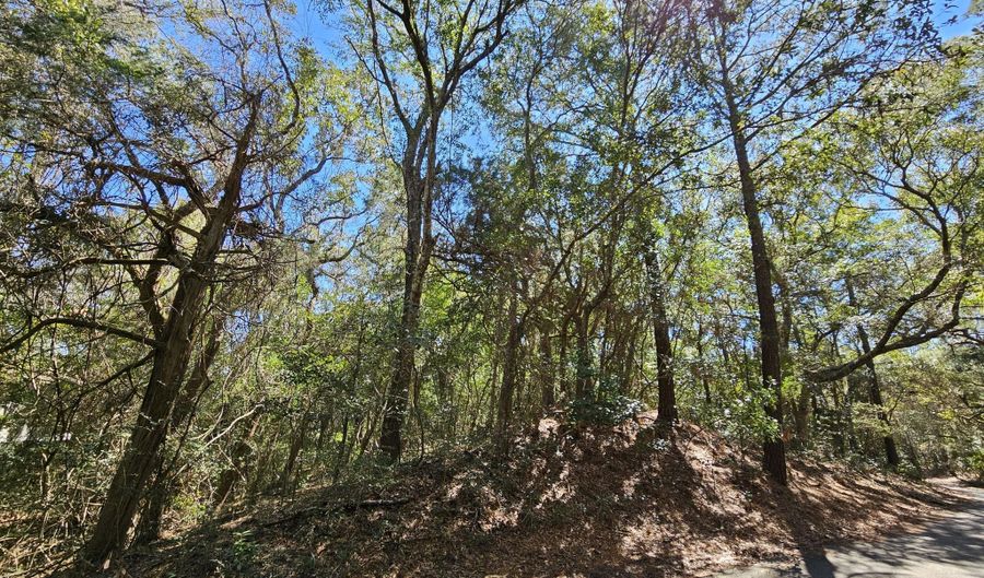 39 Fort Holmes Trl Lot 705, Bald Head Island, NC 28461 - 0 Beds, 0 Bath