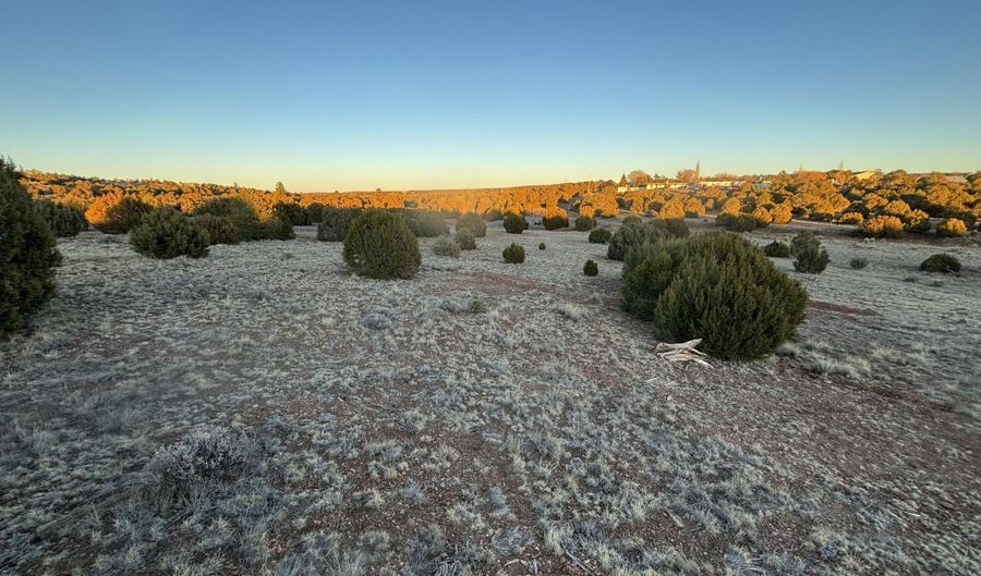 4970 Hollyhock St, Clay Springs, AZ 85923 - 0 Beds, 0 Bath