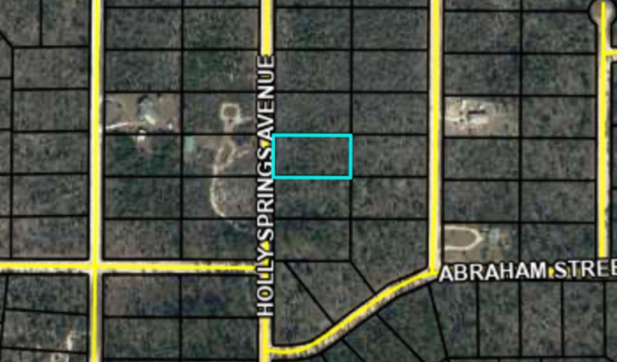 Holly Springs Avenue, Alford, FL 32420 - 0 Beds, 0 Bath