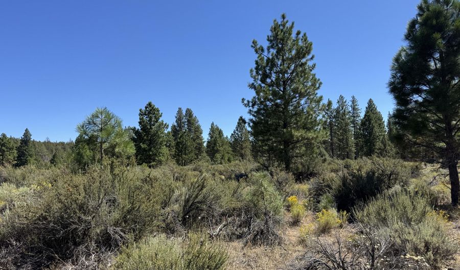 Bufflehead Drive 18, Bonanza, OR 97623 - 0 Beds, 0 Bath