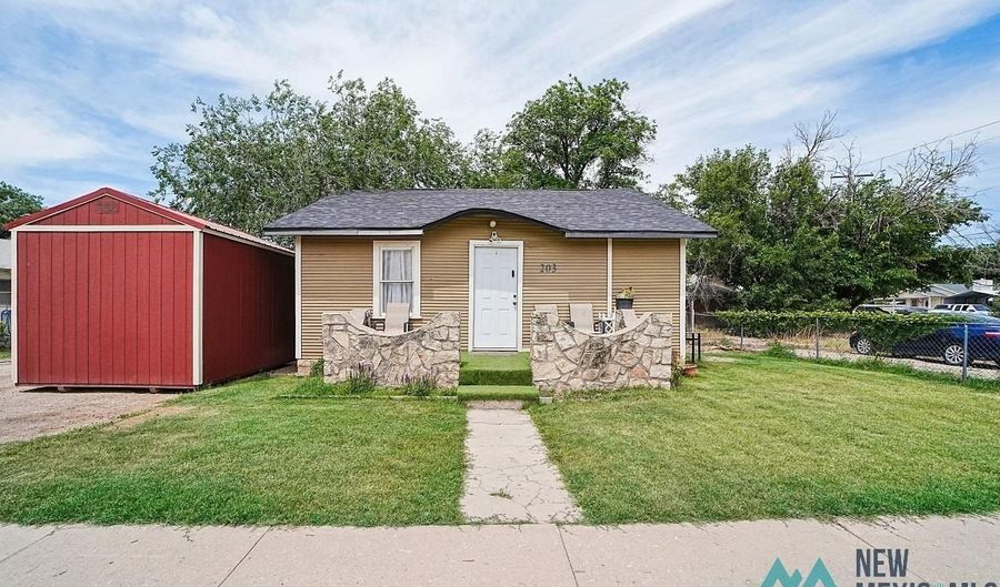 203 S Mesa St, Carlsbad, NM 88220 - 3 Beds, 1 Bath