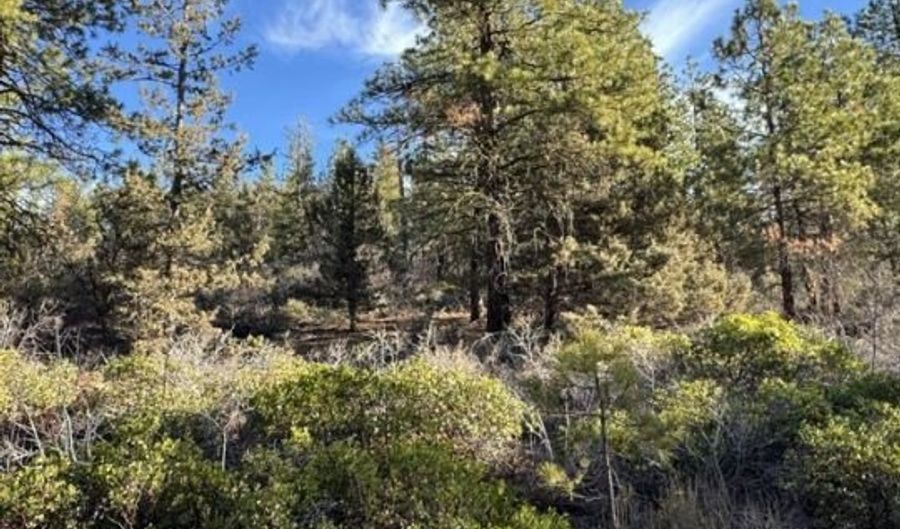 Hummingbird Dr, Bonanza, OR 97623 - 0 Beds, 0 Bath