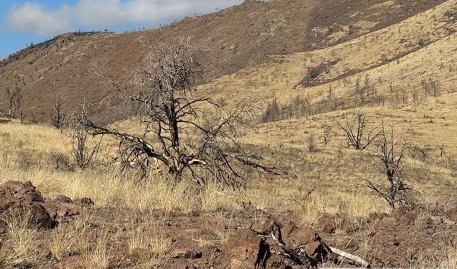 Hwy 395 6 lot 6, Gardnerville, NV 89410 - 0 Beds, 0 Bath