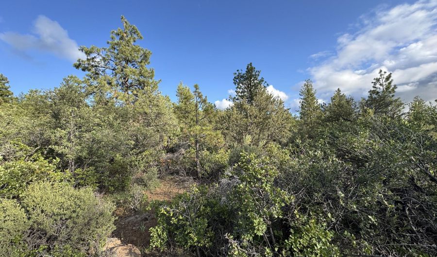 Lot 14 Grizzly Lane, Bonanza, OR 97623 - 0 Beds, 0 Bath