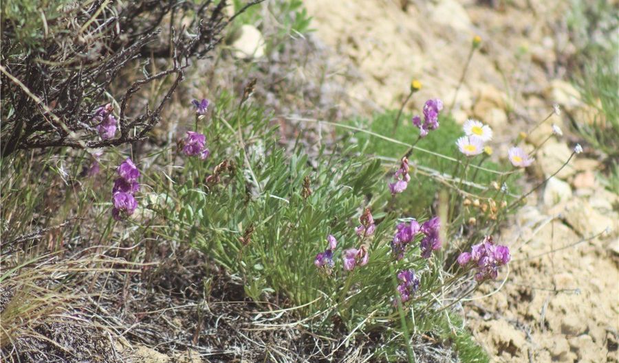 COS 947 Tract 11, Belfry, MT 59008 - 0 Beds, 0 Bath