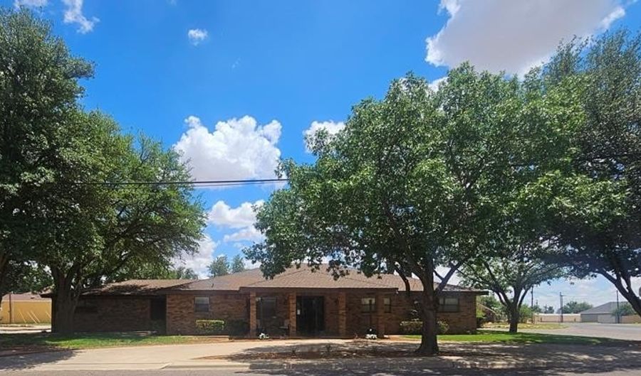 810 NE Ave F, Andrews, TX 79714 - 4 Beds, 4 Bath