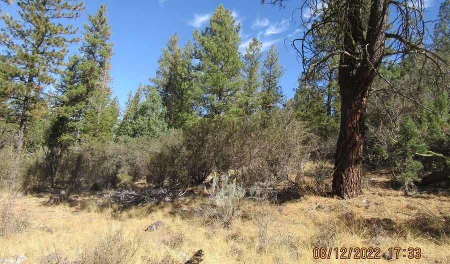 Brown Bear Lane lot 12W2, Bonanza, OR 97623 - 0 Beds, 0 Bath
