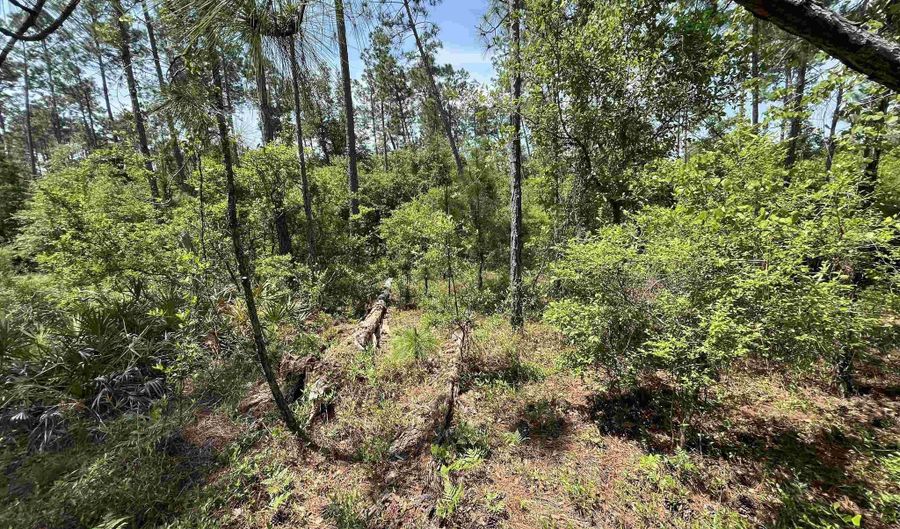 Holly Springs Avenue, Alford, FL 32420 - 0 Beds, 0 Bath