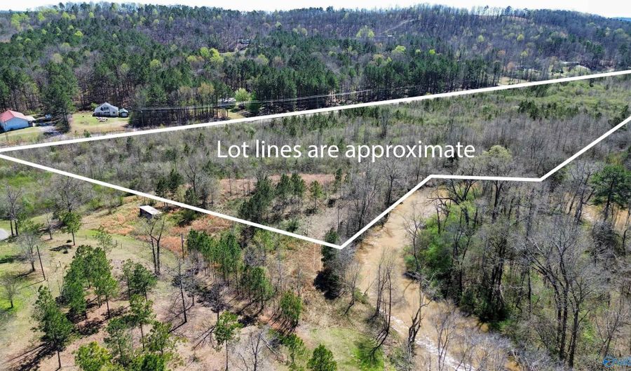 0 Hwy 23, Ashville, AL 35953 - 0 Beds, 0 Bath