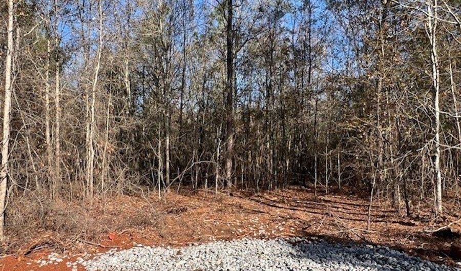 150 Berry Rd, Barnesville, GA 30204 - 0 Beds, 0 Bath