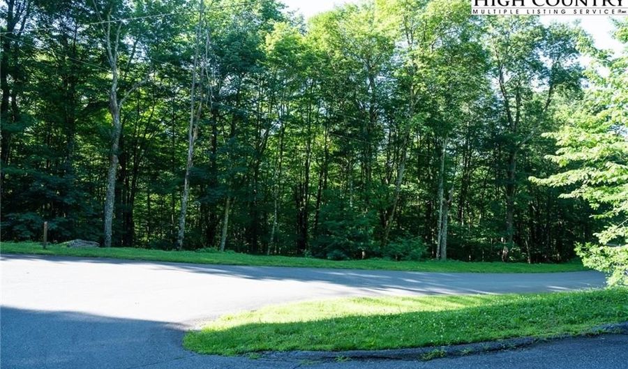Tbd Tynecastle Drive, Banner Elk, NC 28604 - 0 Beds, 0 Bath