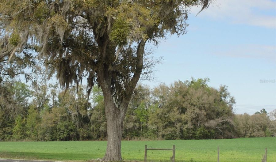Tbd HIGHWAY 441, Alachua, FL 32615 - 0 Beds, 0 Bath