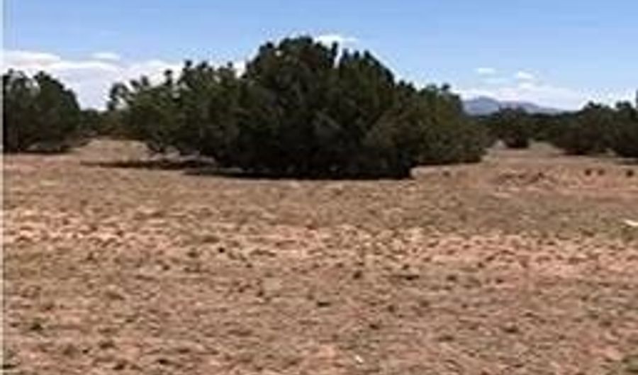 Lot 84 Juniperwood Ranch, Ash Fork, AZ 86320 - 0 Beds, 0 Bath