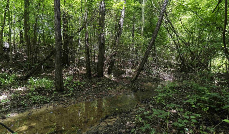 309 FOX VALLEY HIGHLANDS Cir Lot 11, Alabaster, AL 35007 - 0 Beds, 0 Bath