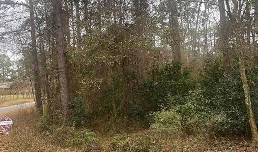 Ashley Road, Americus, GA 31709 - 0 Beds, 0 Bath
