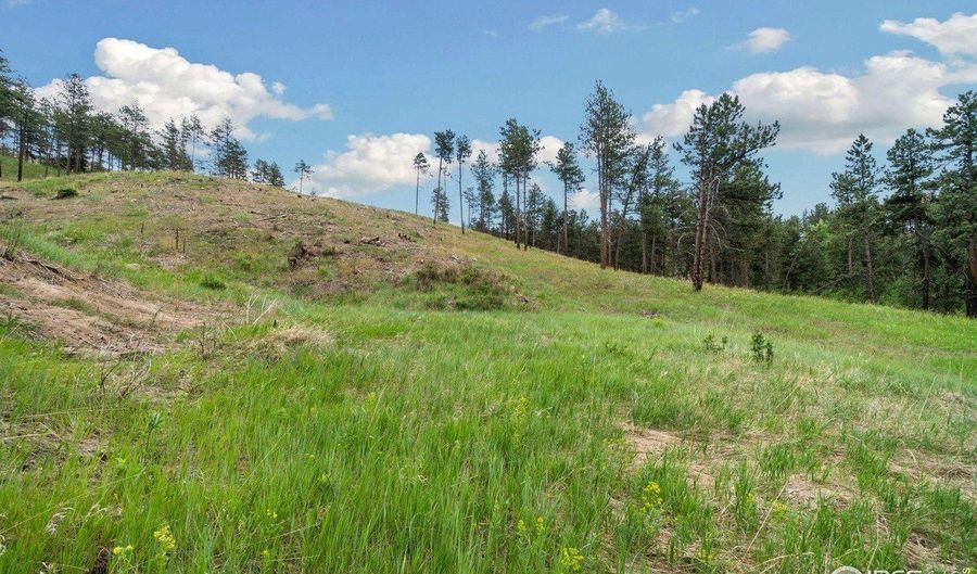 620 Davis Ranch Rd, Bellvue, CO 80512 - 3 Beds, 4 Bath