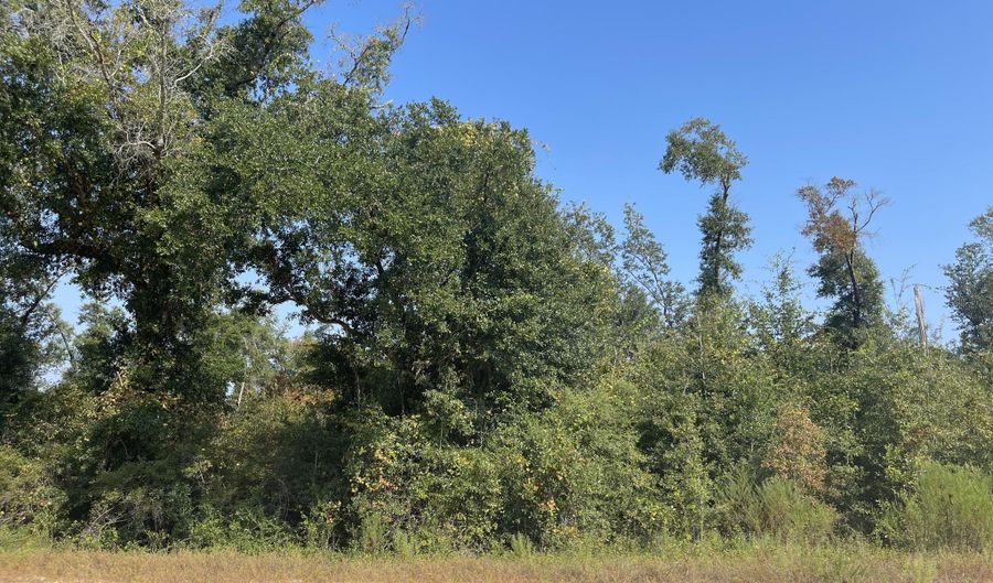 Union Drive, Alford, FL 32420 - 0 Beds, 0 Bath