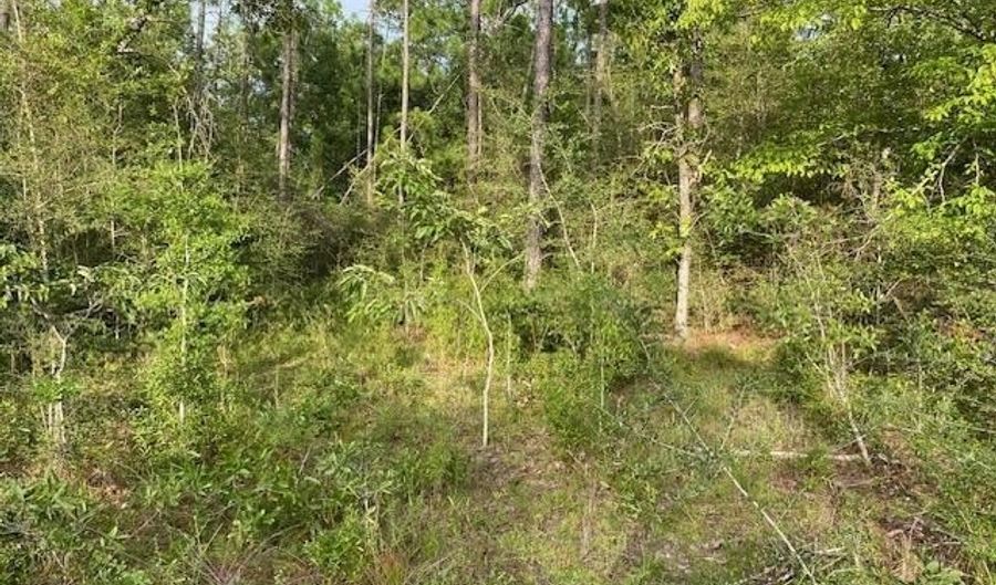 Putnam Avenue lot 5, Alford, FL 32420 - 0 Beds, 0 Bath