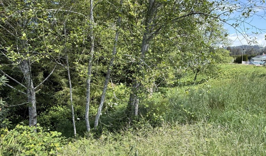 6801 MAGNOLIA Ct Lot #1, Brookings, OR 97415 - 0 Beds, 0 Bath