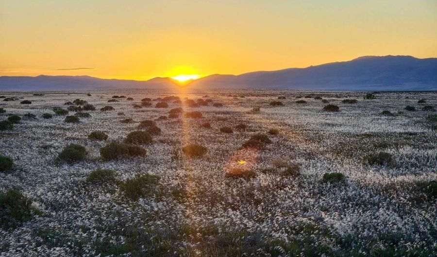 5 Elevenmile Well Rd, Golconda, NV 89414 - 0 Beds, 0 Bath