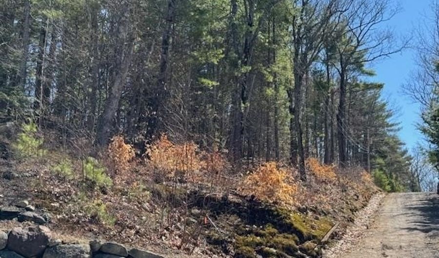 Nutter Drive lot 185, Alton, NH 03809 - 0 Beds, 0 Bath