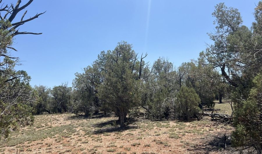 249 W Kings Ranch Rd, Ash Fork, AZ 86320 - 0 Beds, 0 Bath