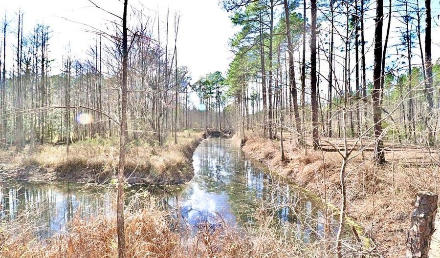 123 Westover Dr, Adel, GA 31620 - 0 Beds, 0 Bath