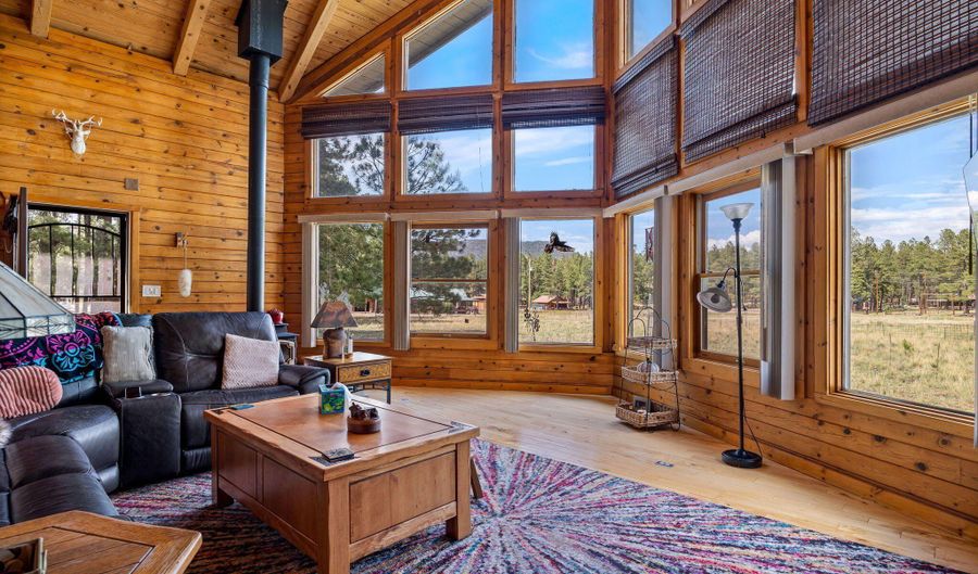 22 CR 2082, Alpine, AZ 85920 - 2 Beds, 2 Bath