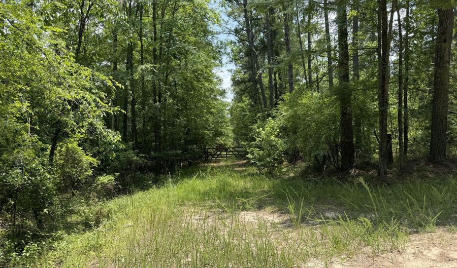Burks Mountain Road, Appling, GA 30802 - 0 Beds, 0 Bath
