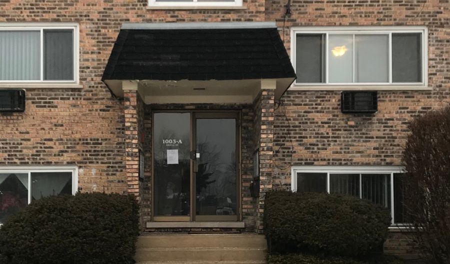 1003 Argyle St 6A, Bensenville, IL 60106 - 1 Beds, 1 Bath