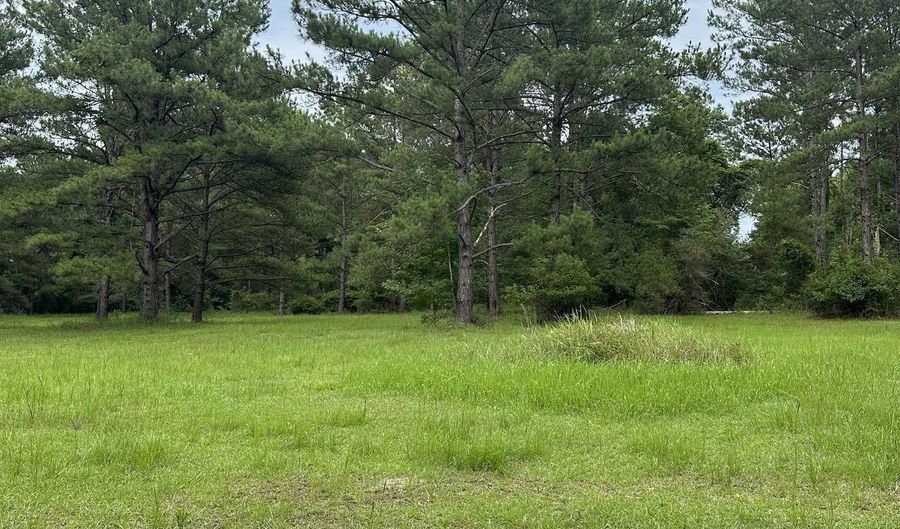 40140 Dogwood Fork Rd, Bay Minette, AL 36507 - 0 Beds, 0 Bath