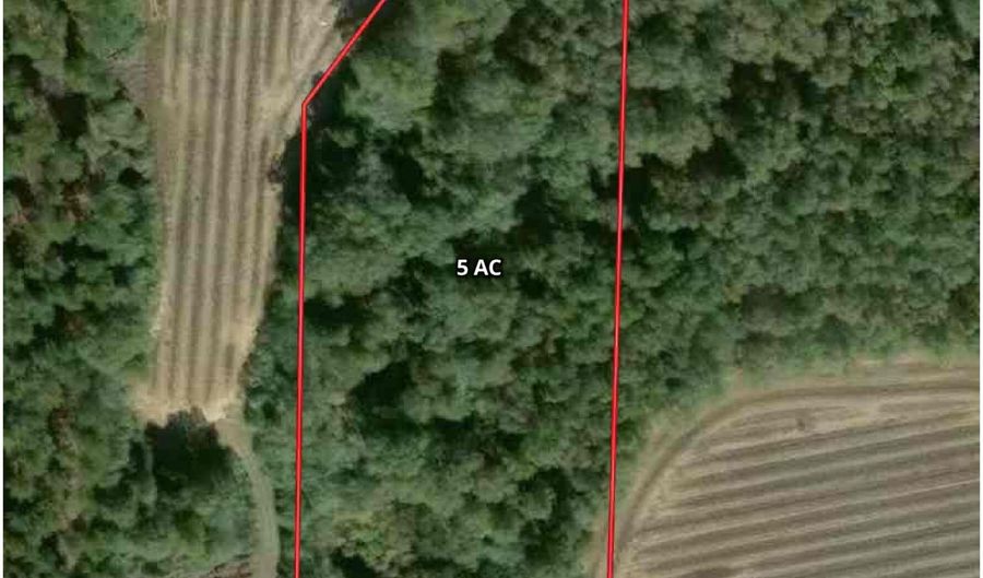 005 G Wallace Buie Rd, Ashford, AL 36376 - 0 Beds, 0 Bath