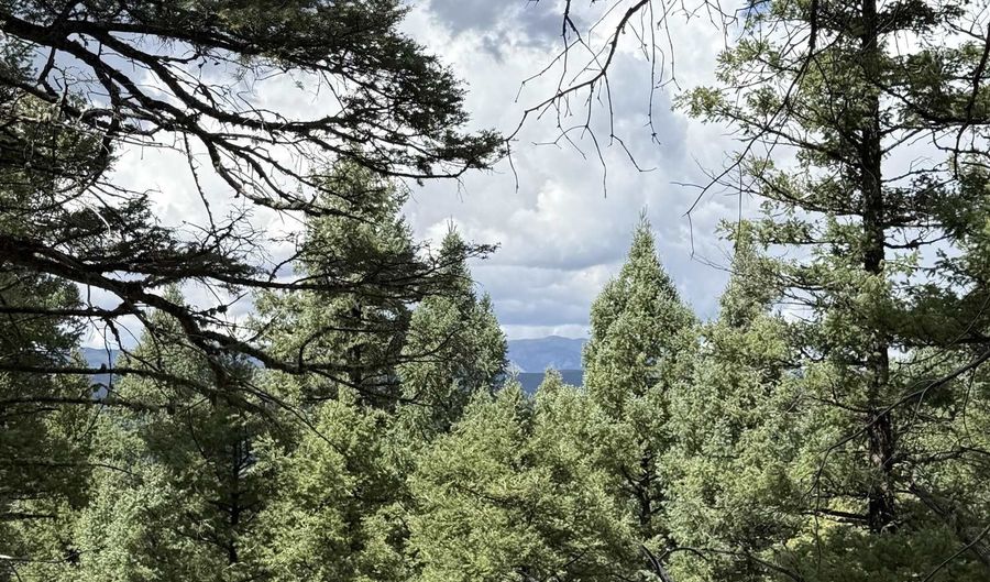 Valley Rd lot 123, Angel Fire, NM 87710 - 0 Beds, 0 Bath