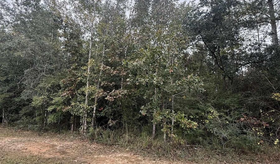 36636 Legacy Way, Bay Minette, AL 36507 - 0 Beds, 0 Bath