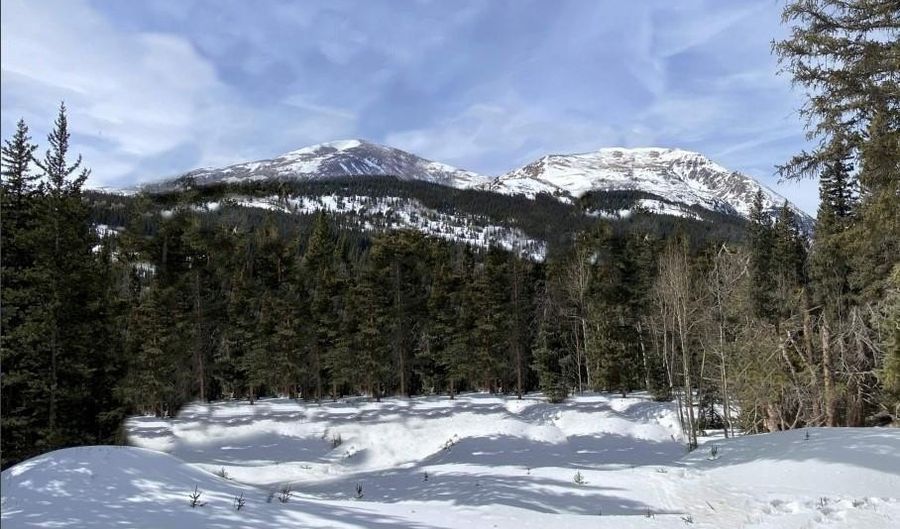 553 NUTHATCH Dr, Alma, CO 80440 - 0 Beds, 0 Bath