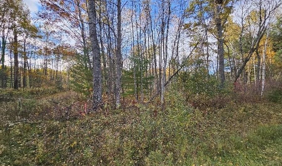 20 Acres Deerhaven, Alger, MI 48610 - 0 Beds, 0 Bath