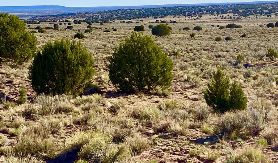 River Meadows Ranch Unit 3 Lot 204, Concho, AZ 85924 - 0 Beds, 0 Bath