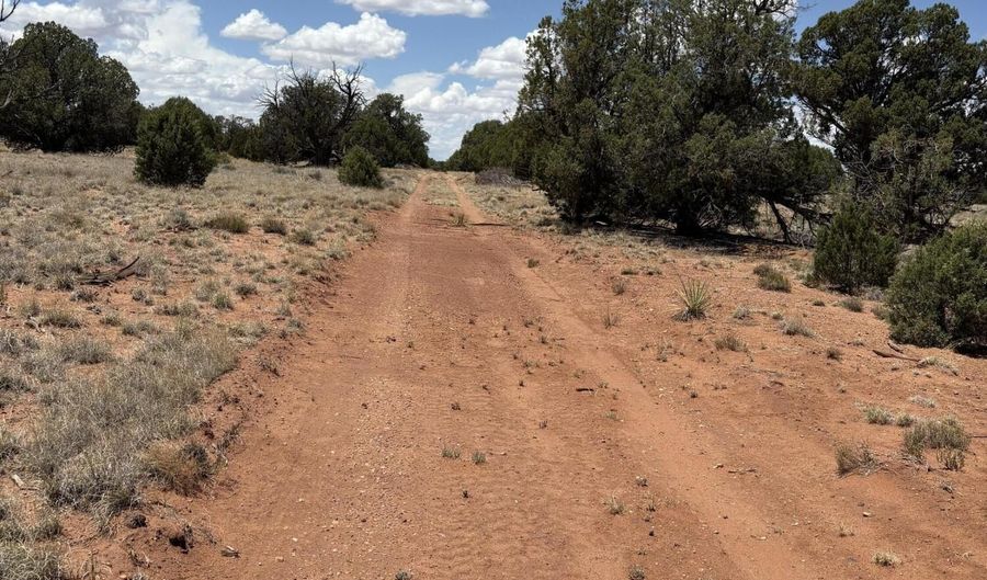 104 N 5532, Concho, AZ 85924 - 0 Beds, 0 Bath